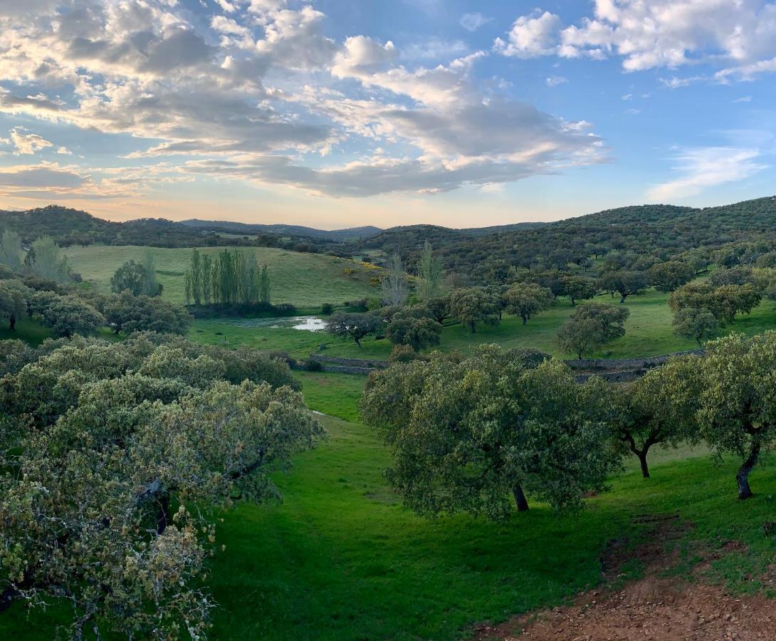 La Siesta Del Naranjo Villa Monesterio Exteriör bild