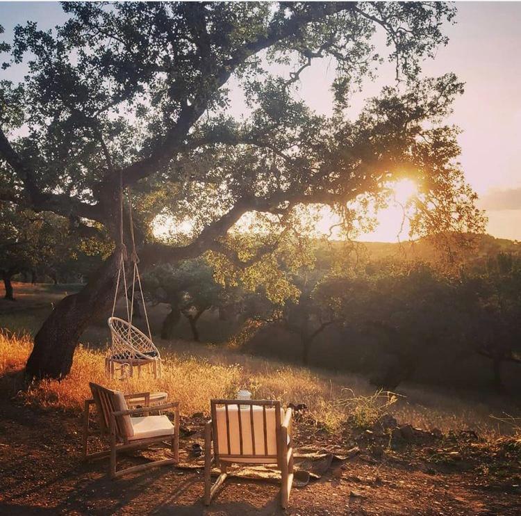 La Siesta Del Naranjo Villa Monesterio Exteriör bild